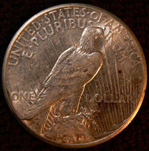 The-11-Days-Of-Peace-Dollars!