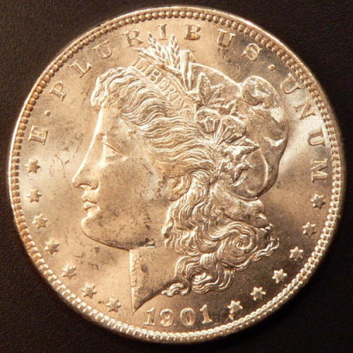 1901-O-Morgan-New-Light-Set-Up