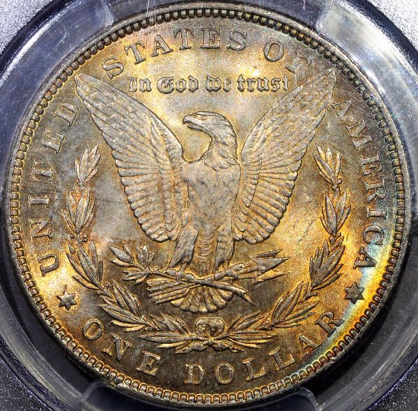 1889-P-Morgan-You-Vs-PCGS
