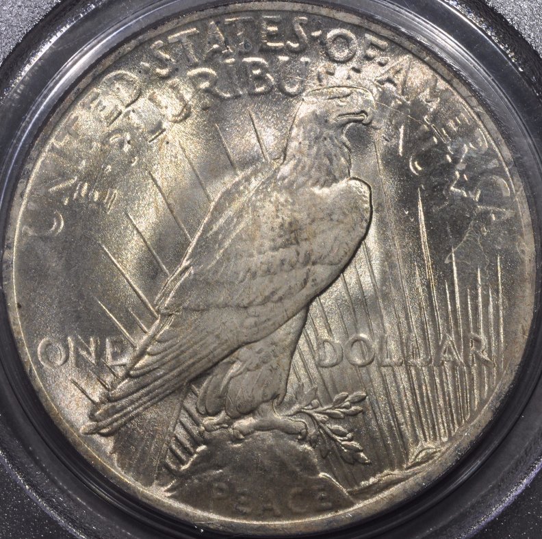 2-1923-Peace-Dollars-One-Raw-One-PCGS