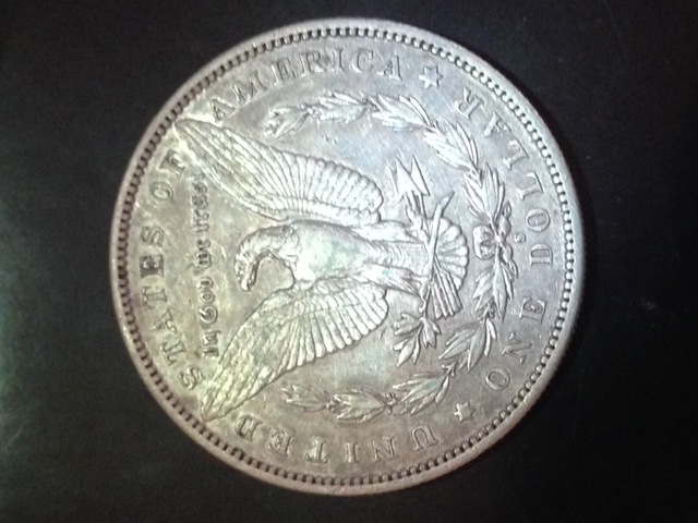 Opinion-On-1892-S-Morgan-Grade