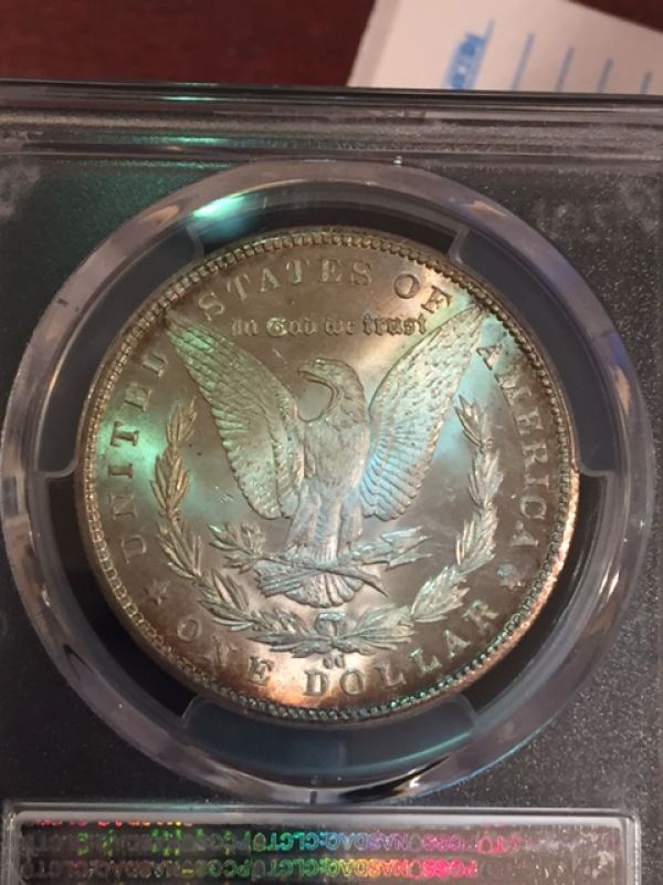 Starting-A-MS-Carson-City-Morgan-Collection