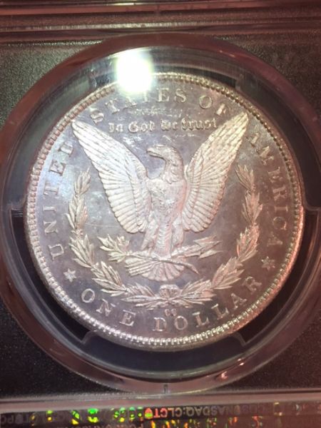 Starting-A-MS-Carson-City-Morgan-Collection