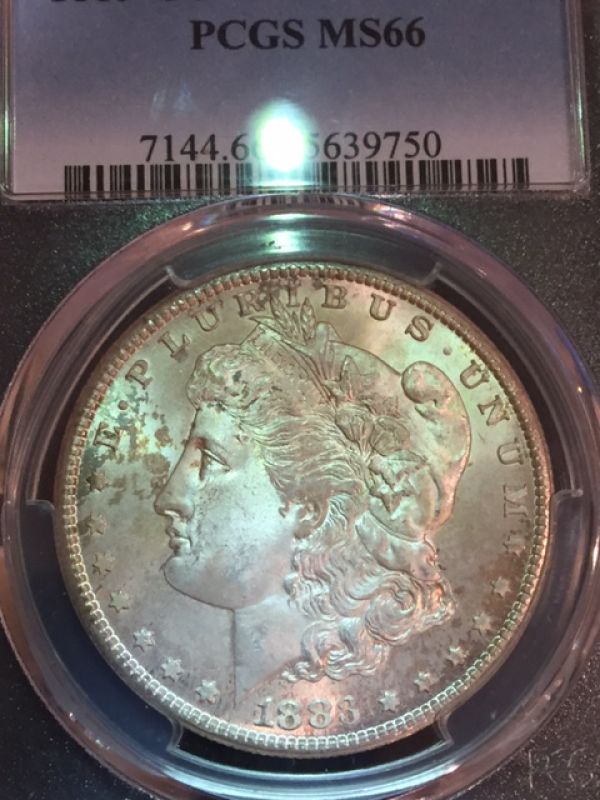 Starting-A-MS-Carson-City-Morgan-Collection