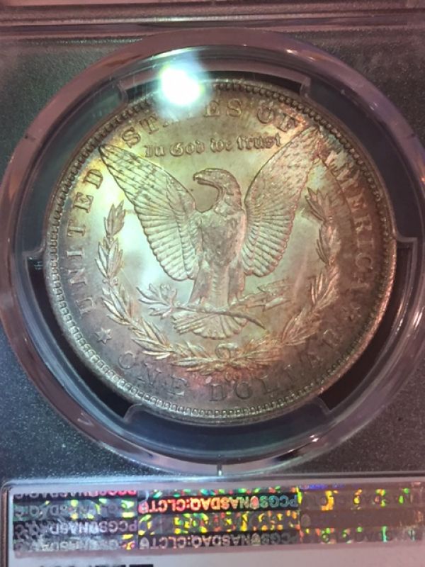 Starting-A-MS-Carson-City-Morgan-Collection