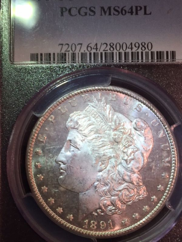 Starting-A-MS-Carson-City-Morgan-Collection