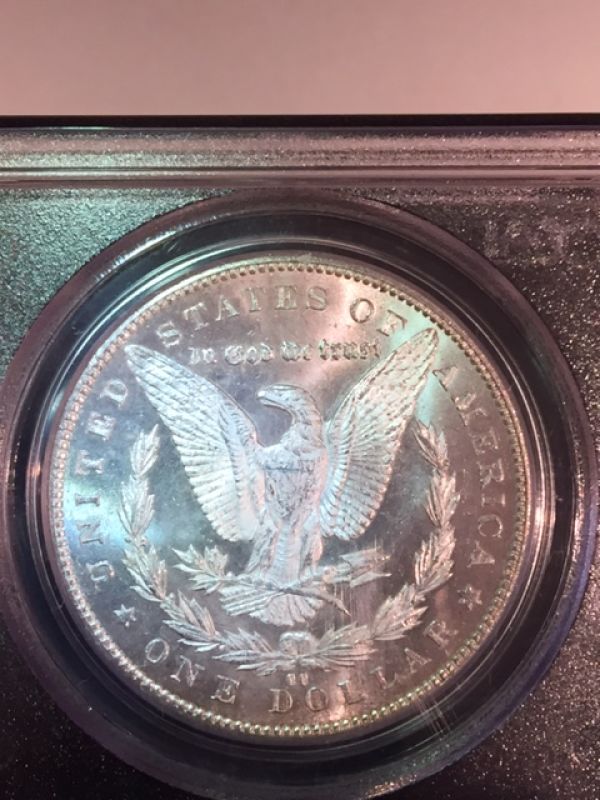 Starting-A-MS-Carson-City-Morgan-Collection