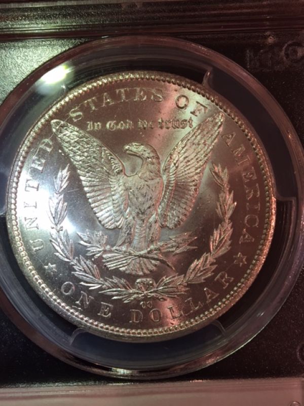 Starting-A-MS-Carson-City-Morgan-Collection