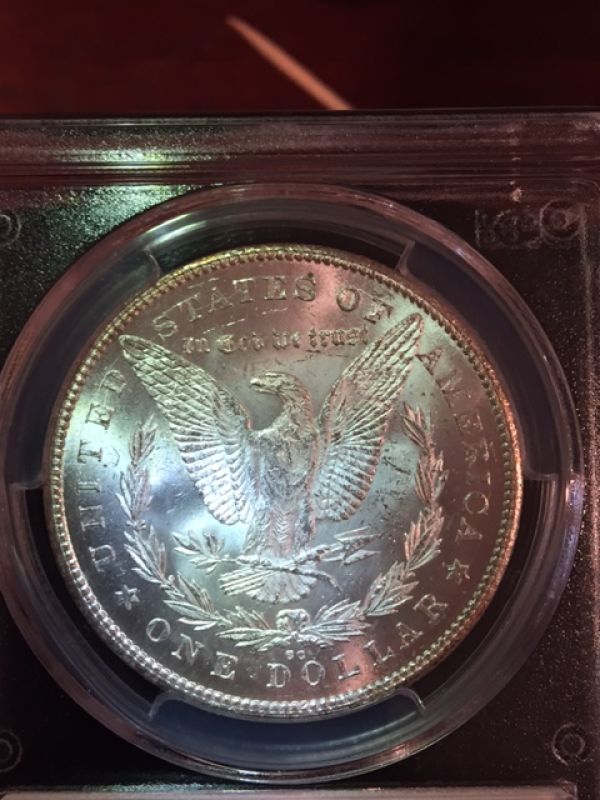 Starting-A-MS-Carson-City-Morgan-Collection