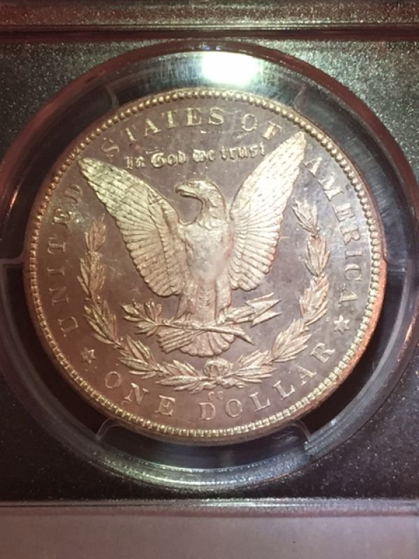 Starting-A-MS-Carson-City-Morgan-Collection