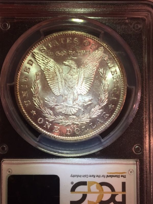 Starting-A-MS-Carson-City-Morgan-Collection