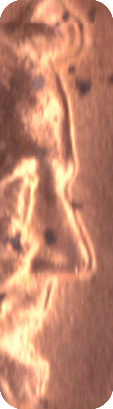1987-D-Lincoln-Memorial-Cent-Doubling?
