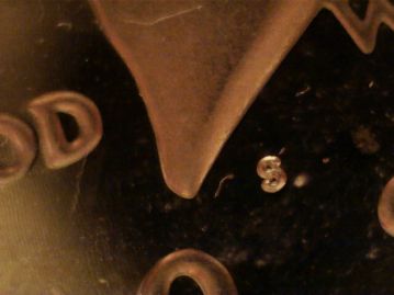 Help-On-1981-Type-2-Coin-ID