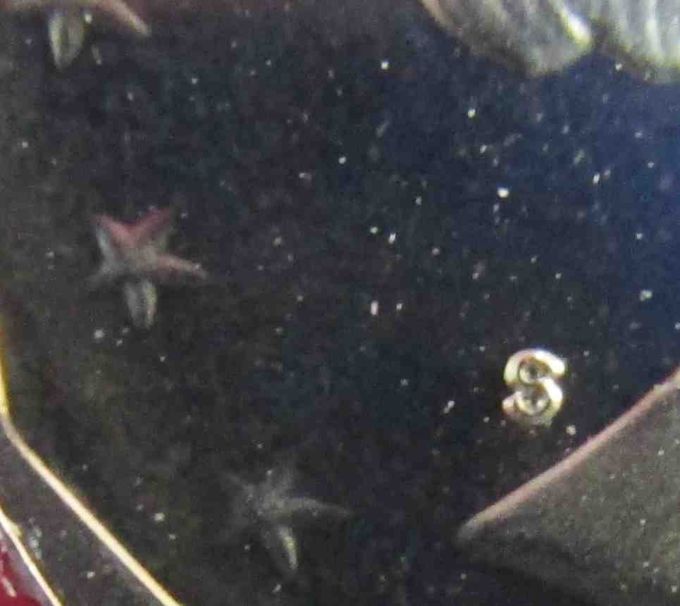 Help-On-1981-Type-2-Coin-ID