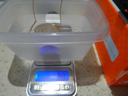 Has-Any-One-Done-A-Specific-Gravity-Test-On-1937-1938-Crown