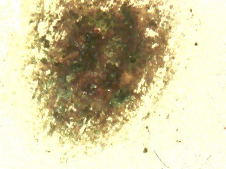 1966-50c-With-Rust