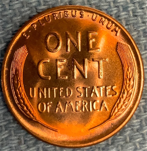 Updated-Photos-Please-Grade-1954-S-LWC-Toned