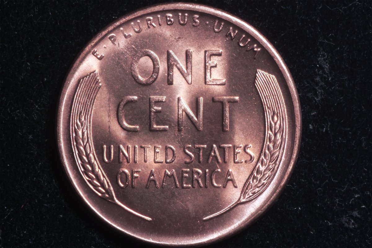 Please-Grade-1955-S-LWC-BIE-Error