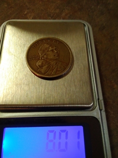 Sacagawea-Coin-Without-Mint-Mark-And-Date