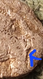Can-Someone-Help-Me-Identify-This-Coin-Id:-Jewelry-Medallion-With-Minerva