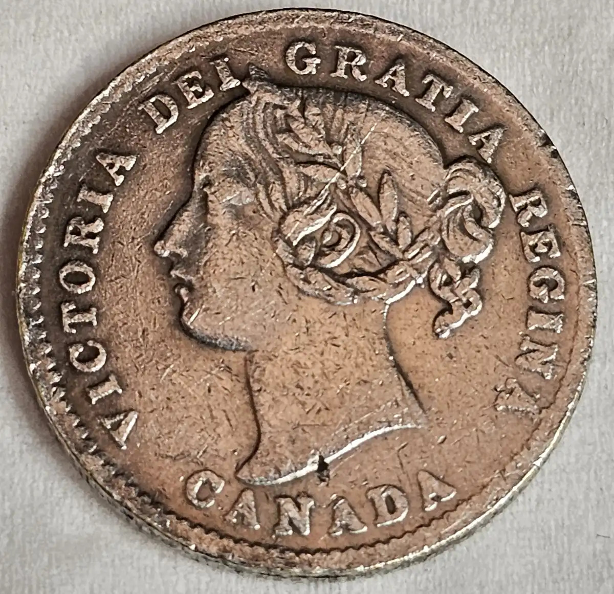 Overweight-And-Thicker-1889-Victoria-10c