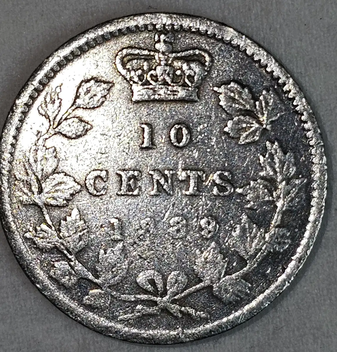 Overweight-And-Thicker-1889-Victoria-10c