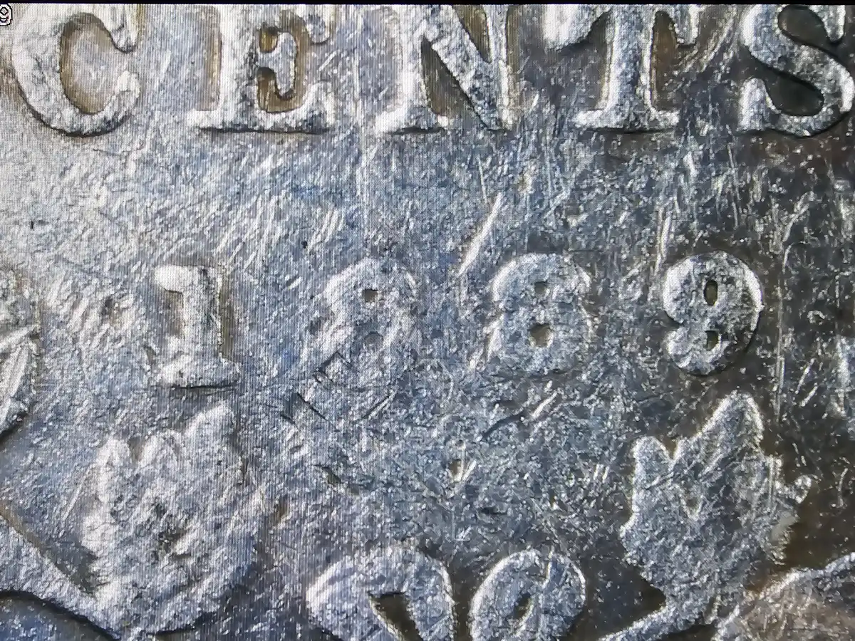 Overweight-And-Thicker-1889-Victoria-10c