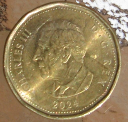 Strange-Looking-2024-Loonie!