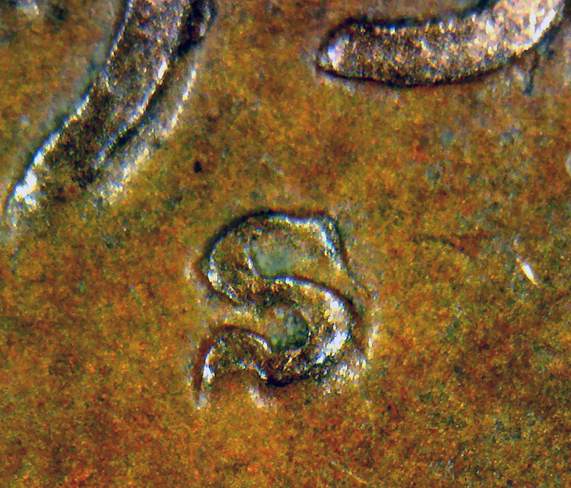 1939-S-LWC-S/S-MM-01