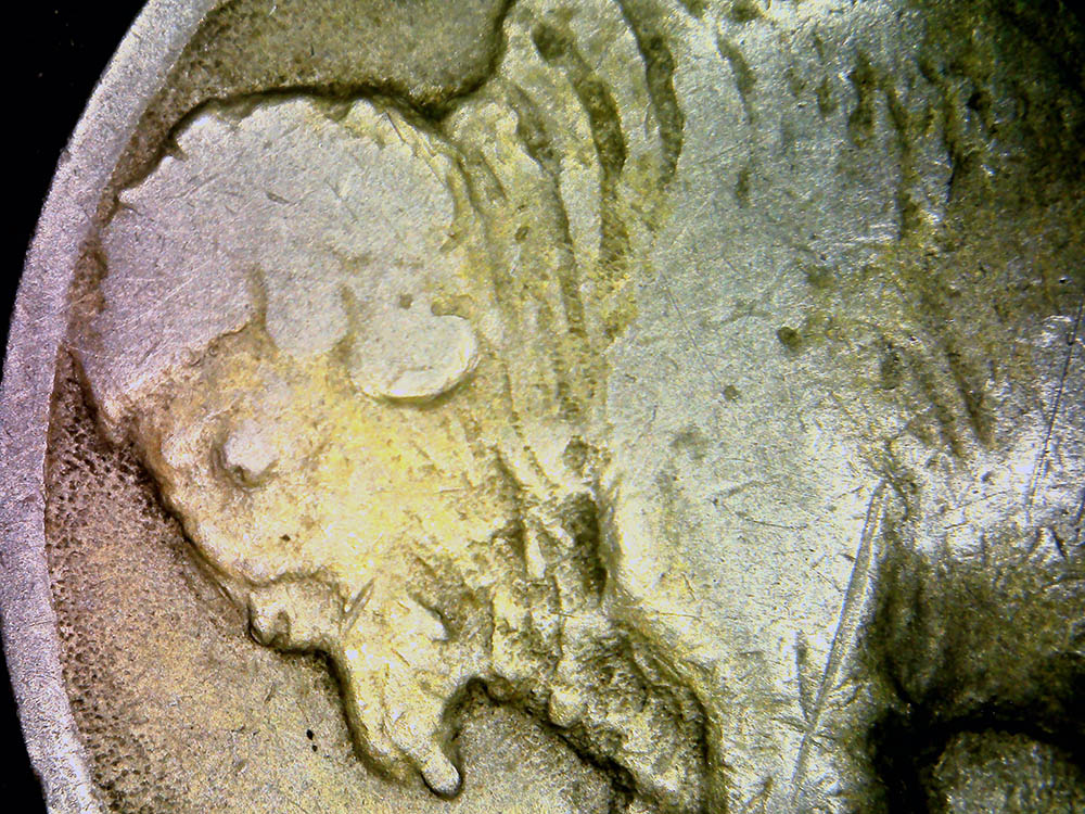1919-P-Nickel-2-Feather