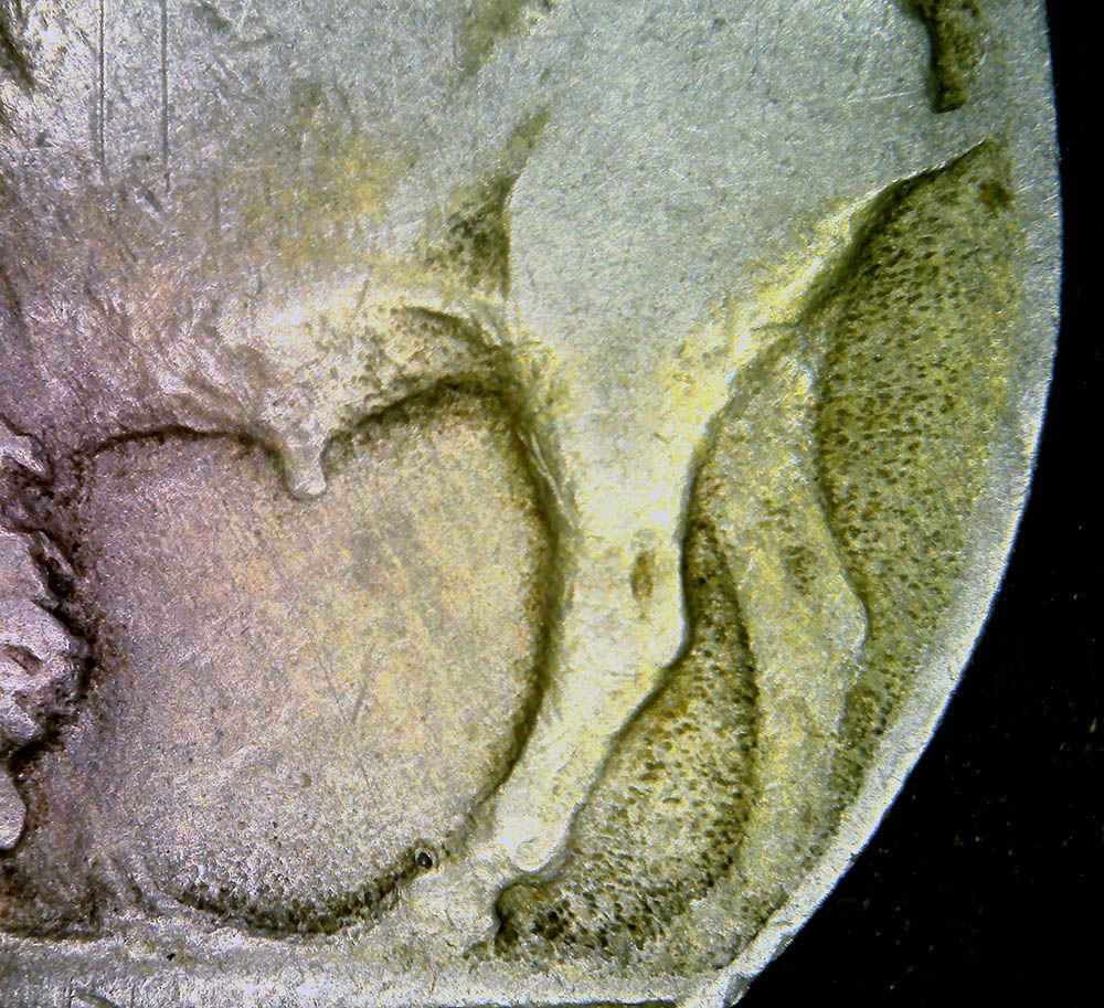 1919-P-Nickel-2-Feather