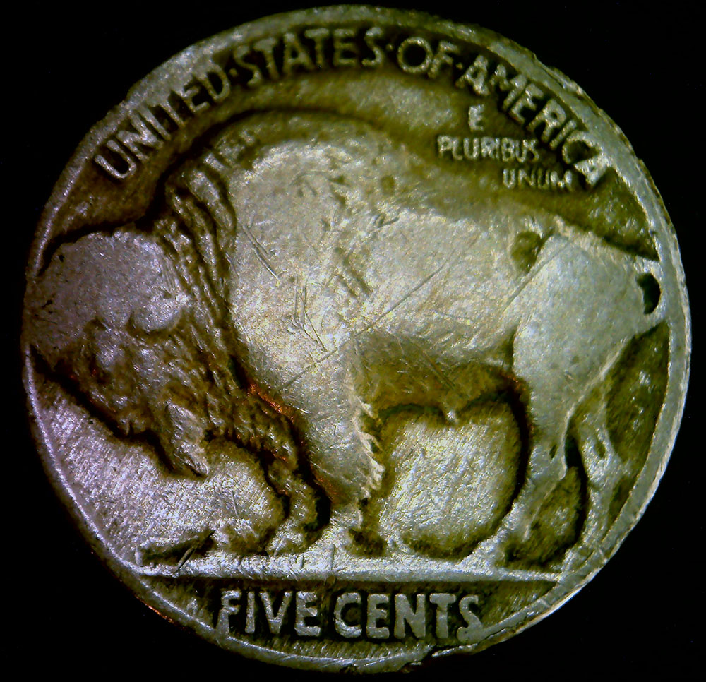 1917-P-Buffalo-Nickel-2-Feather