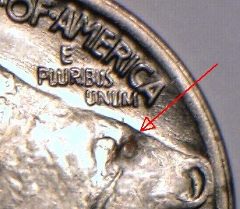 Opinions-Desired-On-A-Buffalo-Nickel
