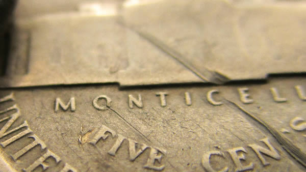 1943-War-Nickel-Lamination-Error