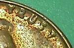 Penny-1950-Is-This-DD