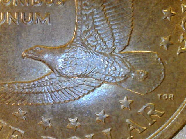 Thursday-Night-With-A-Box-Of-Dollars,-Turned-Out-Great!