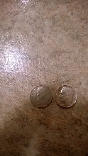 1-Kilo-Bag-Of-Coins