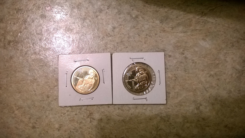 Need-Your-Advice-On-2014-Proof-Dollar