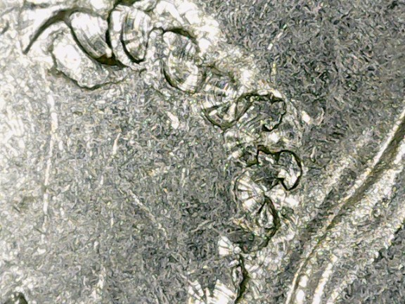 1989-D-Washington-Quarter