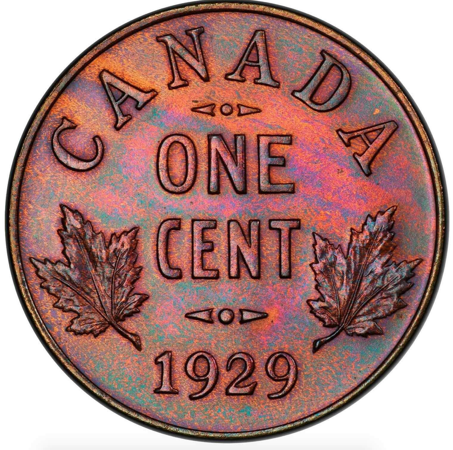 Nice-Things-To-Look-At-On-Ebay
