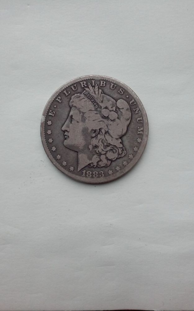 1883-S-Morgan-Grade-Please