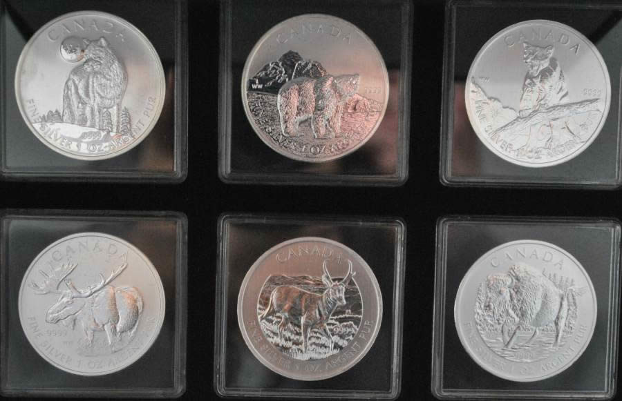 Birds-Of-Prey-Bullion-Series---Quasi-NCLT---Better-Buy