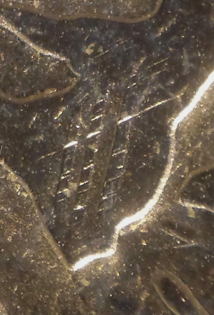 1965-Dollar-PL-Die-Cracks---Tool-Marks--What