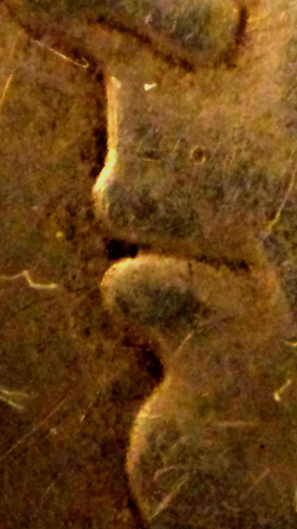 1939-Dollar-With-Obverse-Doubling