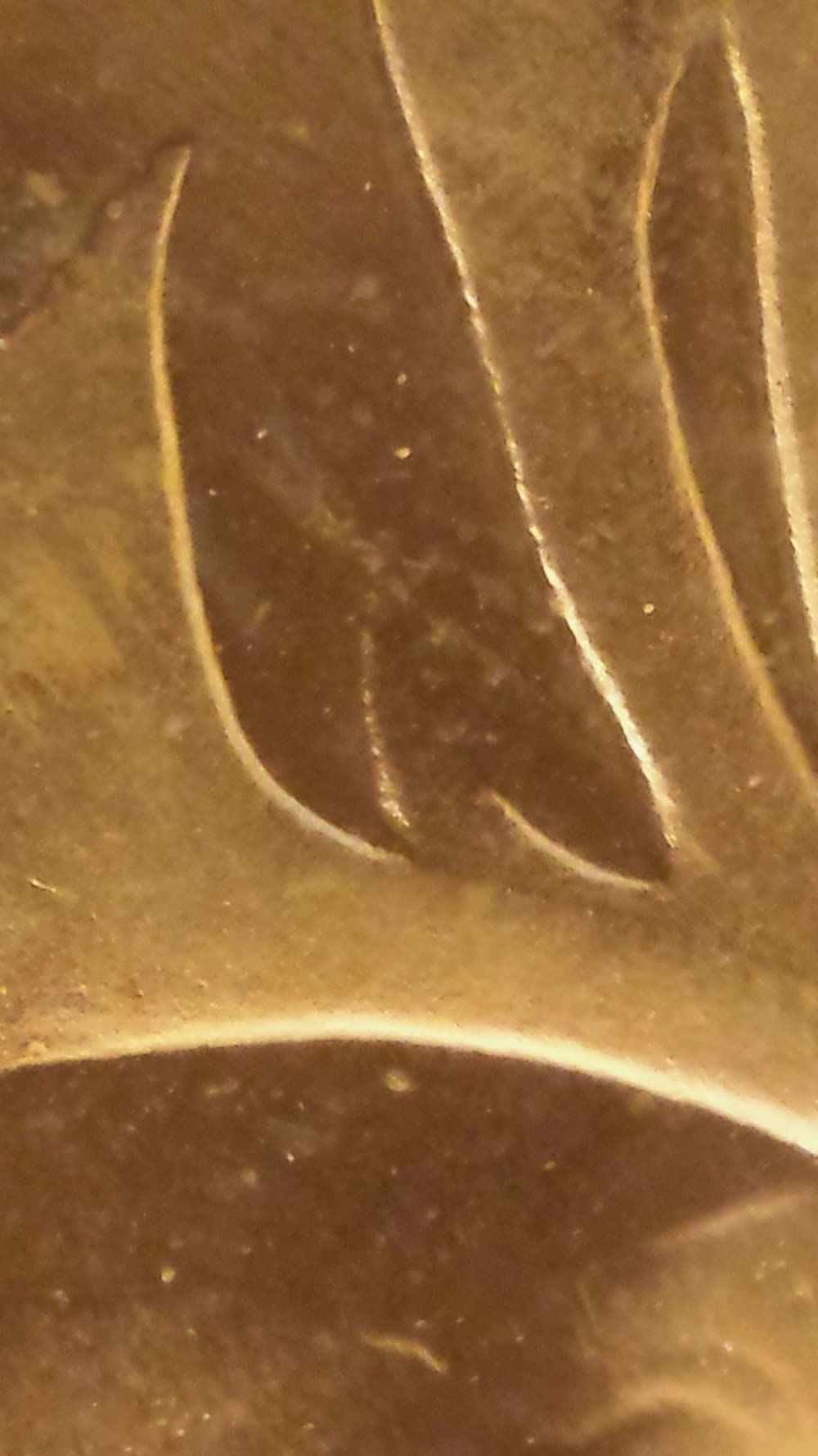 1962-PL-66-Quarter-With-Faded-Antler---Missing-Horn