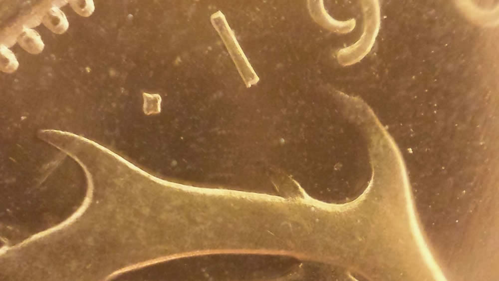 1962-PL-66-Quarter-With-Faded-Antler---Missing-Horn