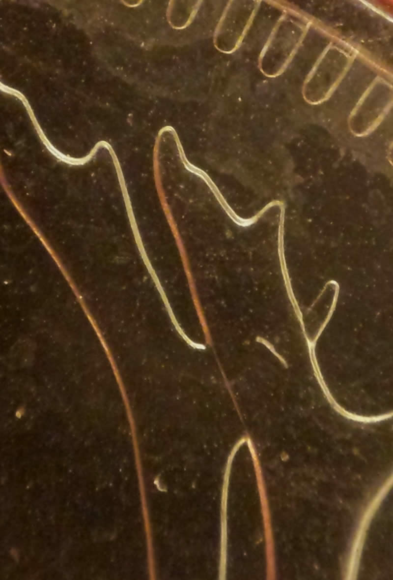 Who's-Found-A-1991-Quarter-In-Circulation?