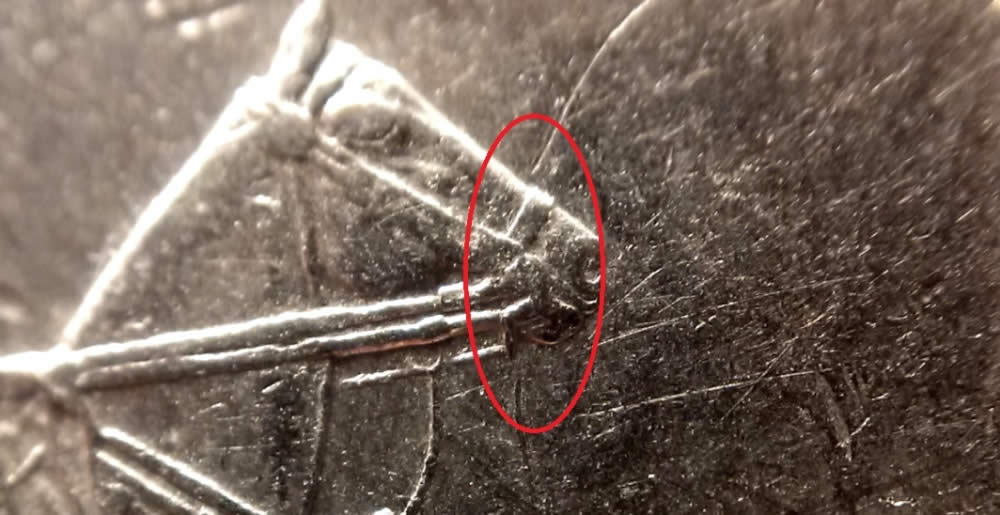 Strike-Through-Or-Scratch--->-Mountie-Quarter