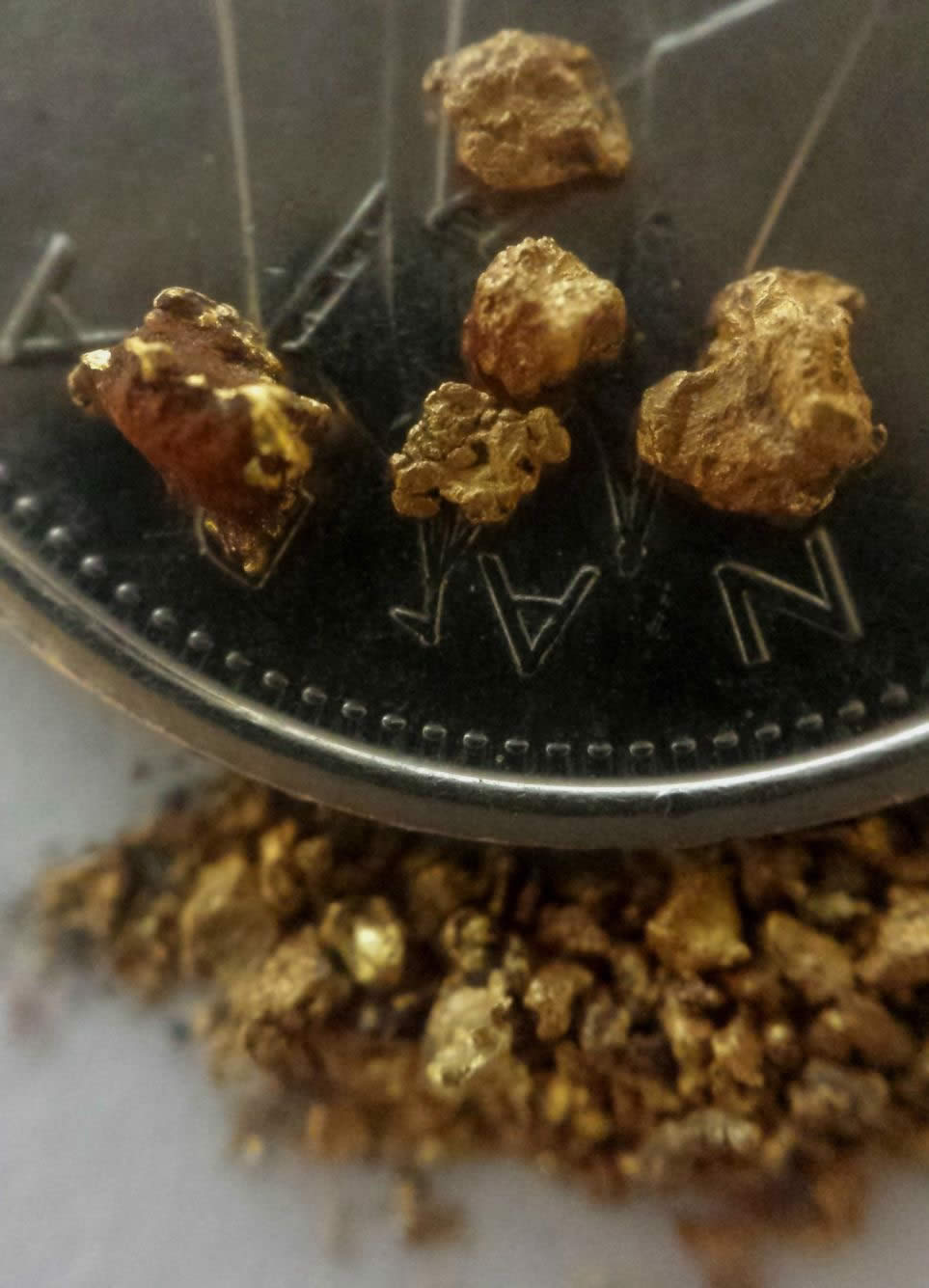 Has-Anyone-Panned-For-Gold?