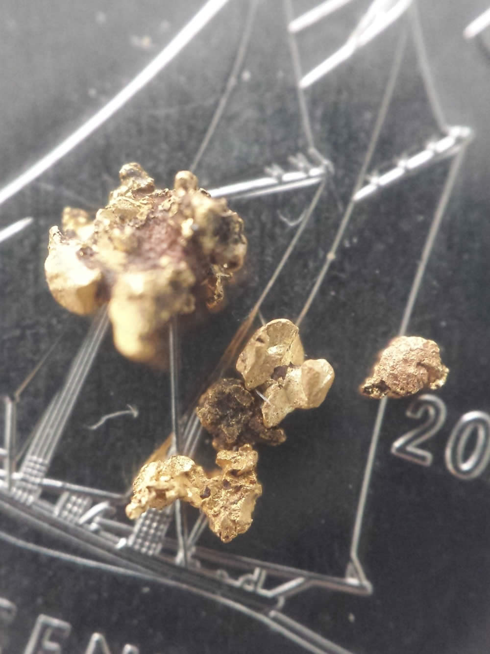 Has-Anyone-Panned-For-Gold?